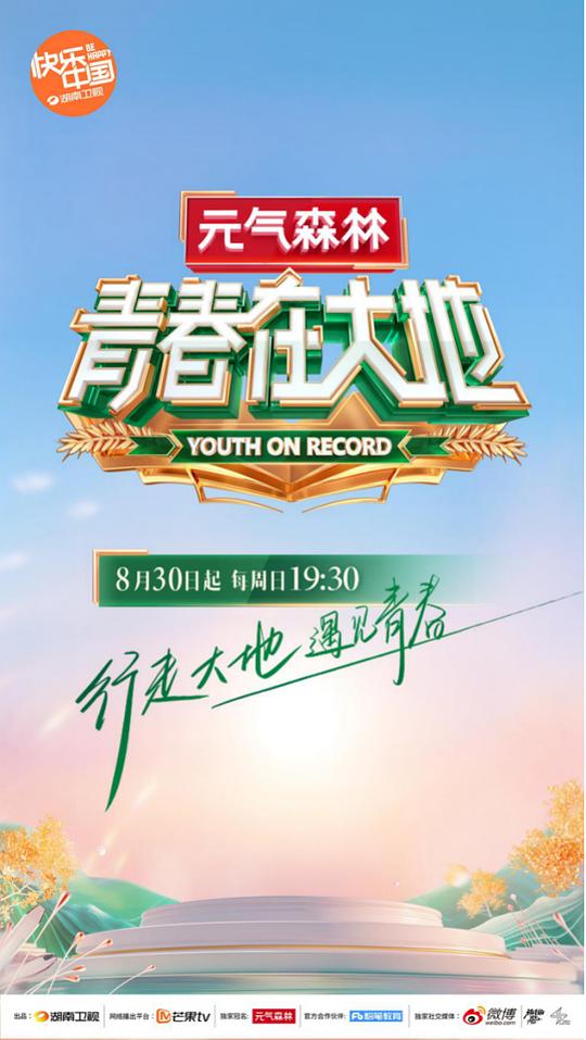 青春在大地海报
