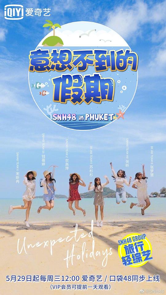 意想不到的假期海报