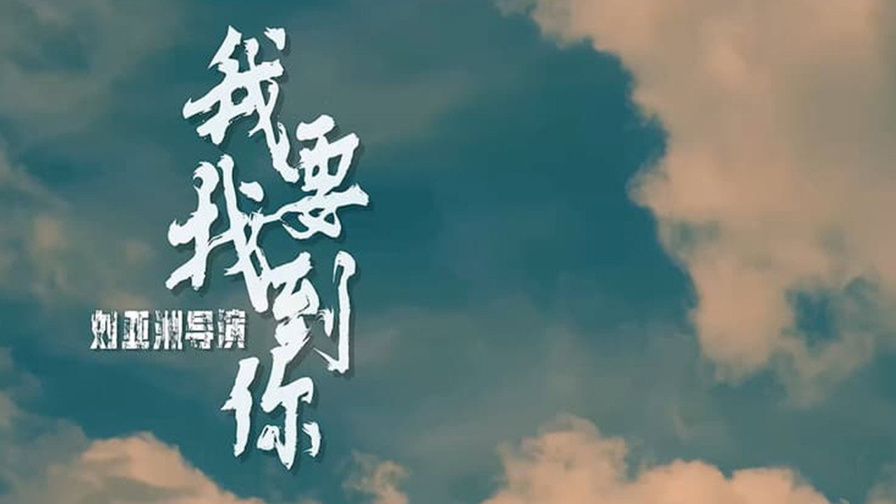 我要找到你剧照