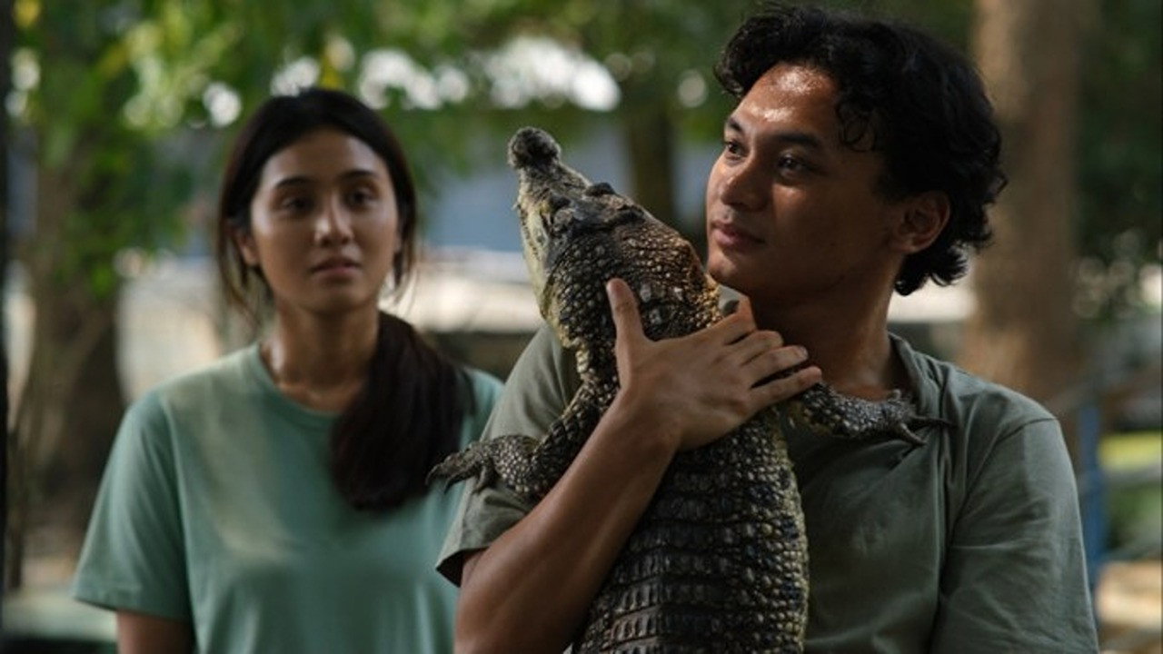 鳄鱼泪剧照