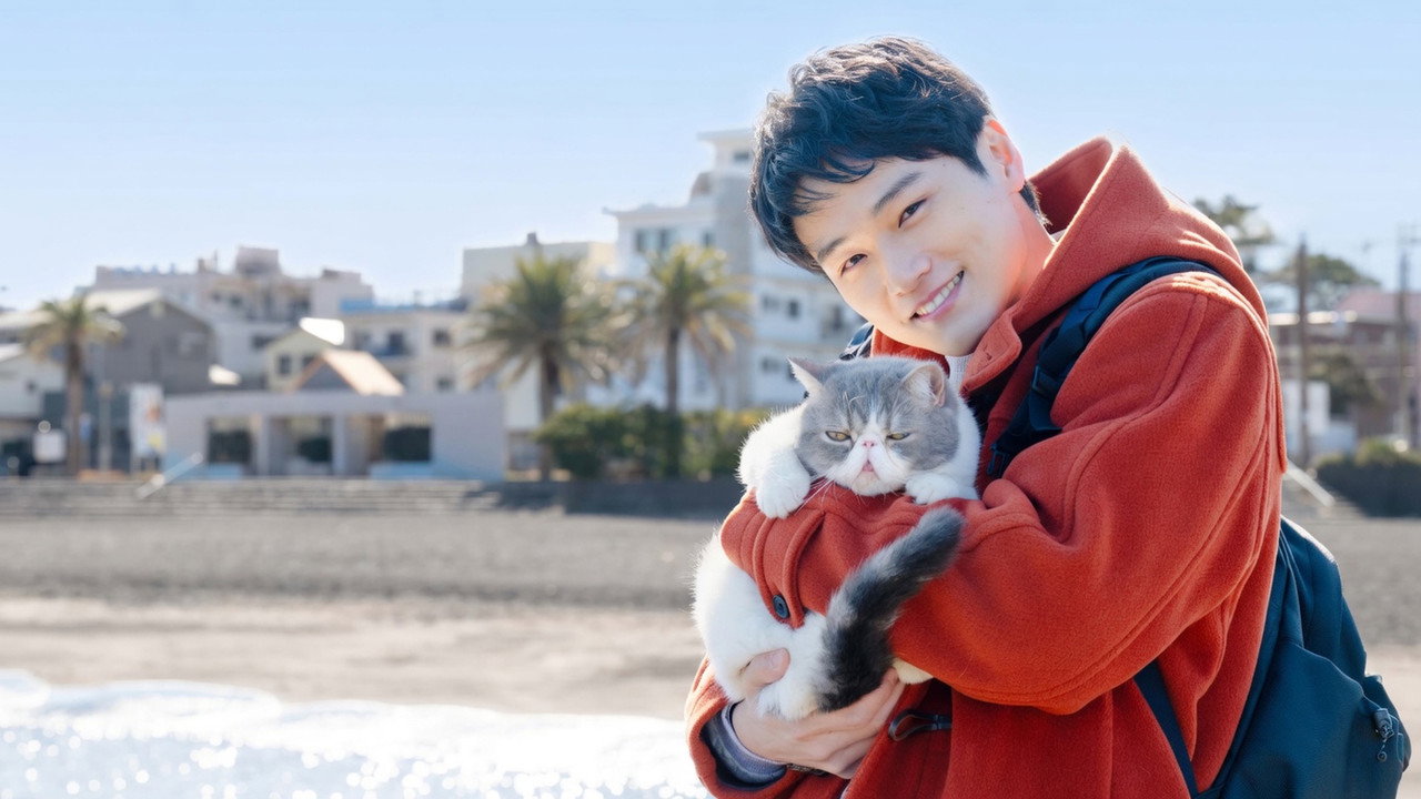 旅行和我和猫剧照