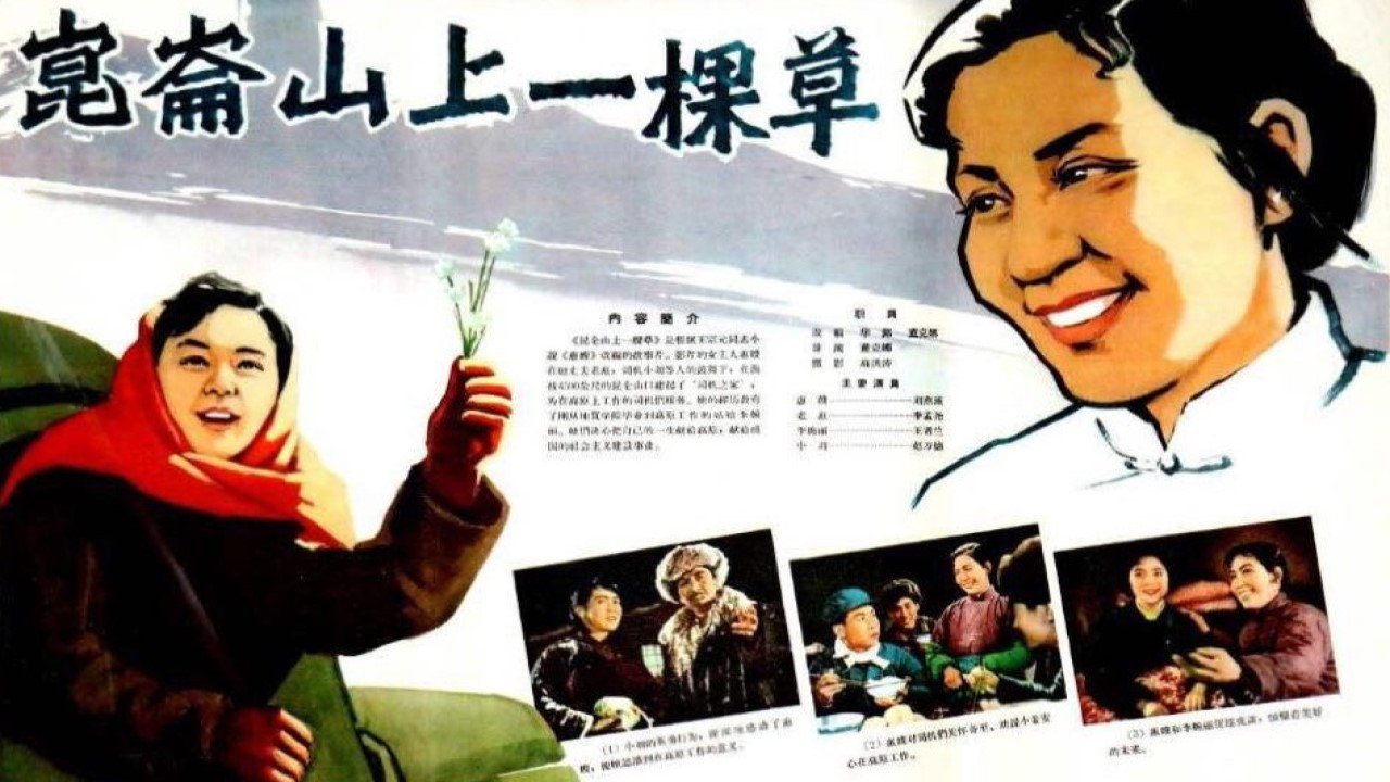 昆仑山上一棵草剧照