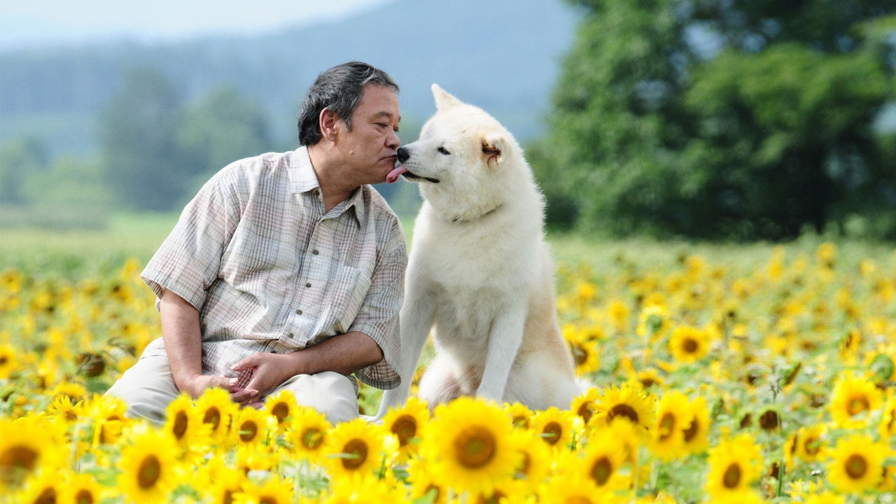 星守之犬剧照