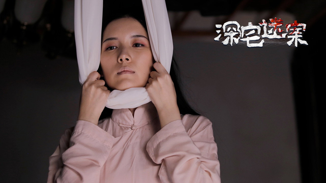 深宅迷案剧照