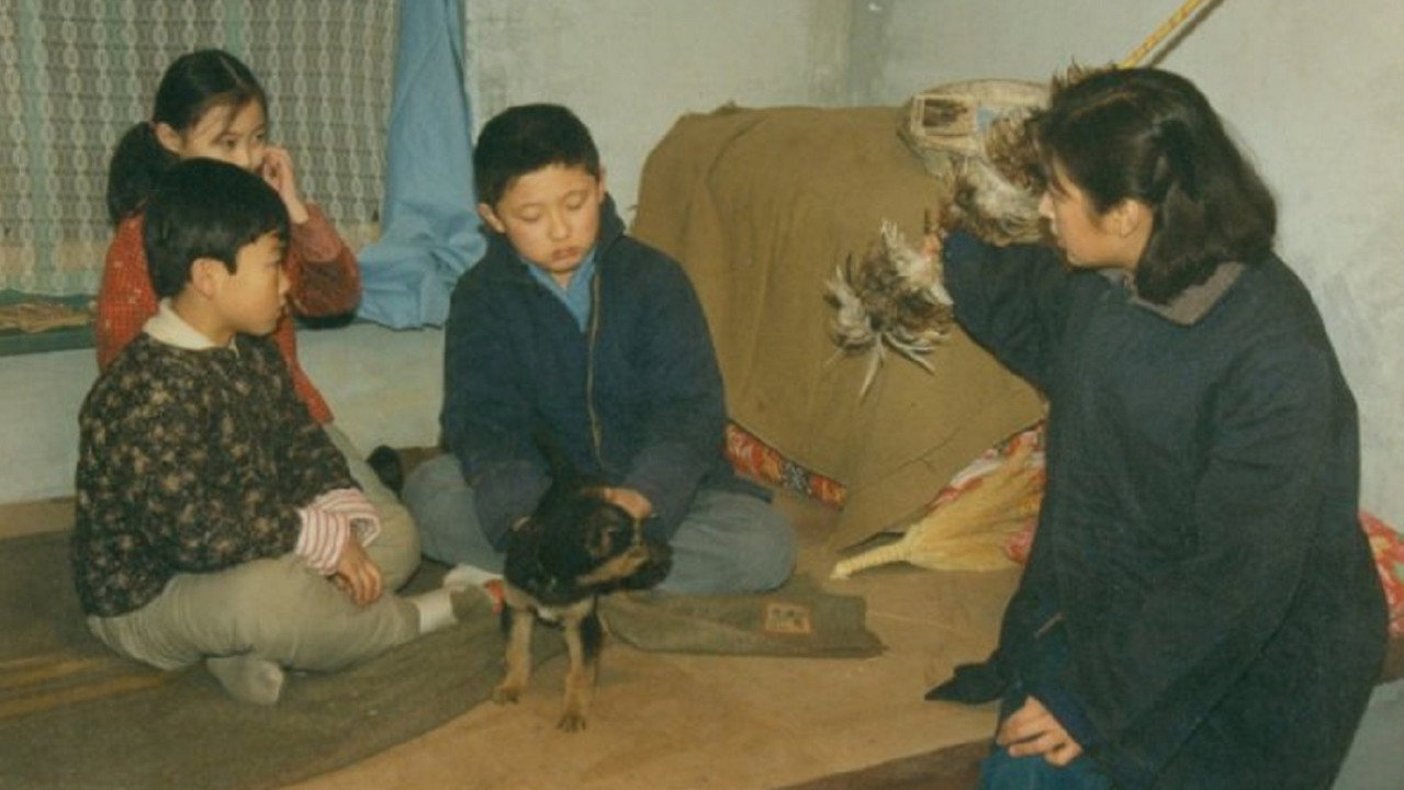 年轮剧照