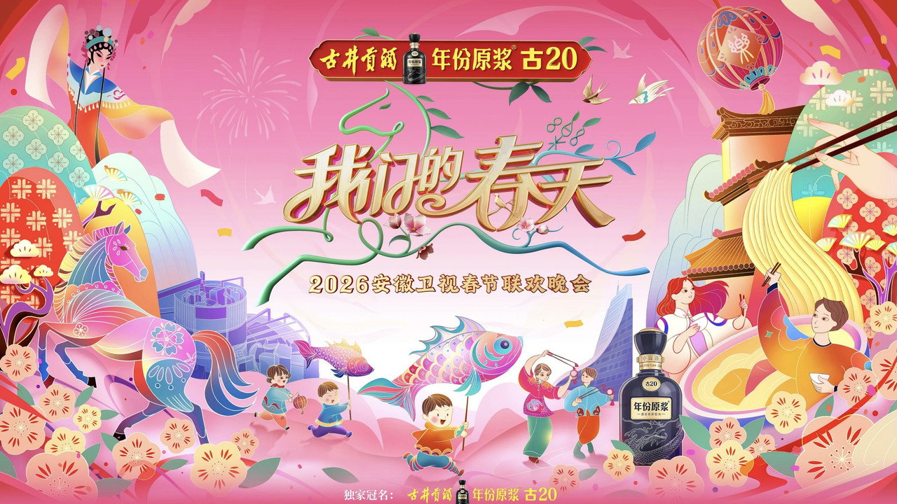 安徽卫视春节联欢晚会剧照