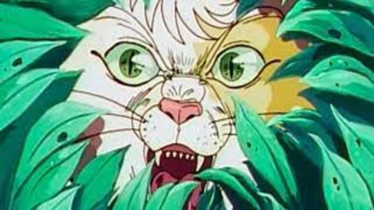 暗黑之猫剧照
