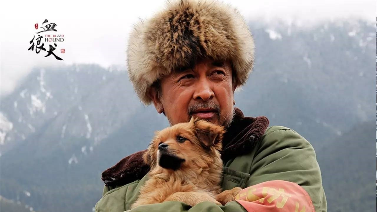 血狼犬剧照
