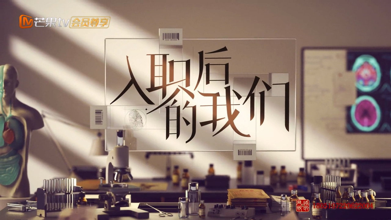 入职后的我们剧照