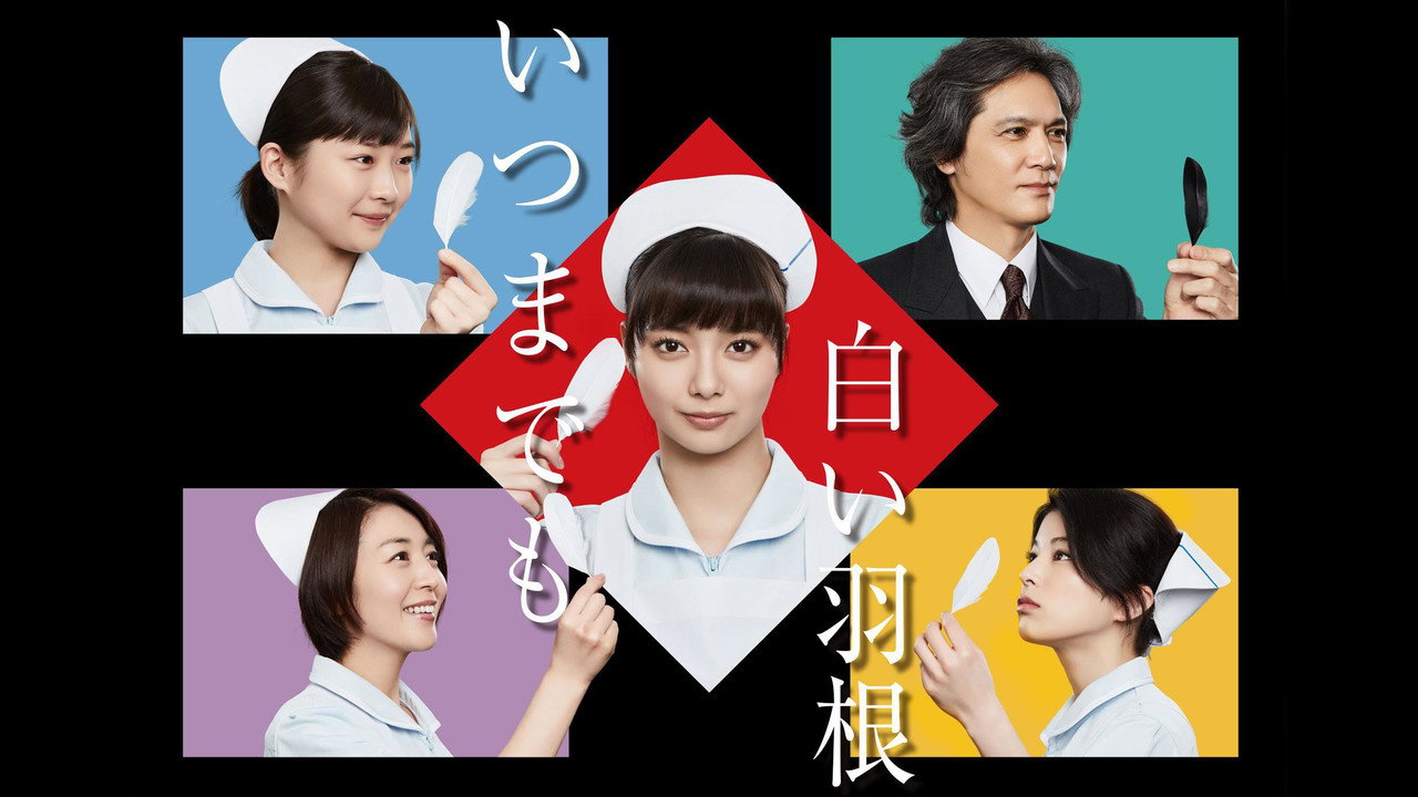永远的白羽毛剧照