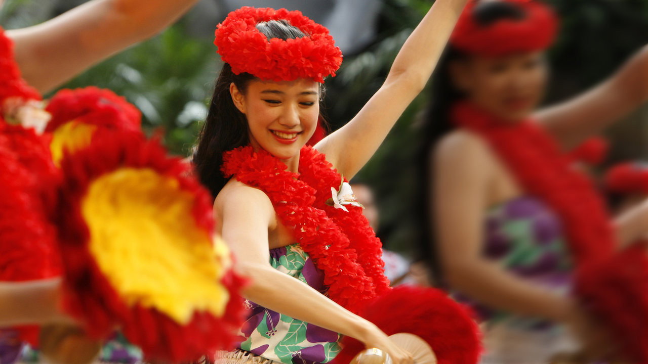 扶桑花女孩剧照