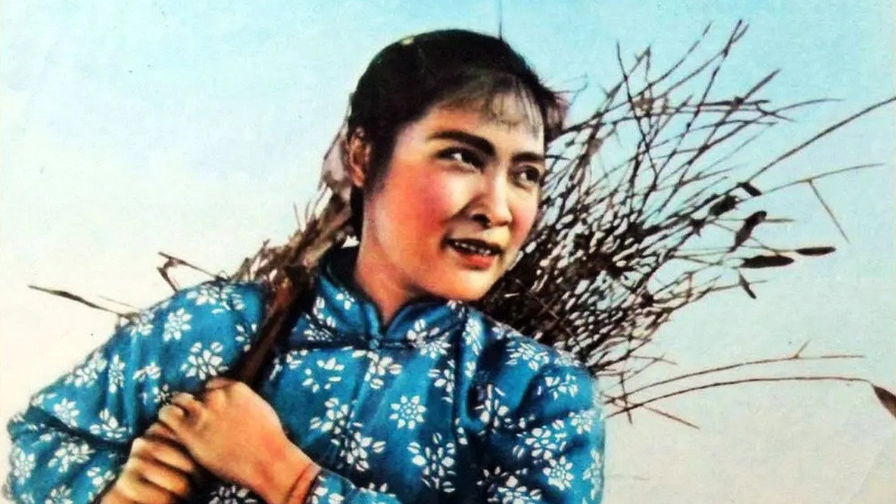 红色的种子剧照