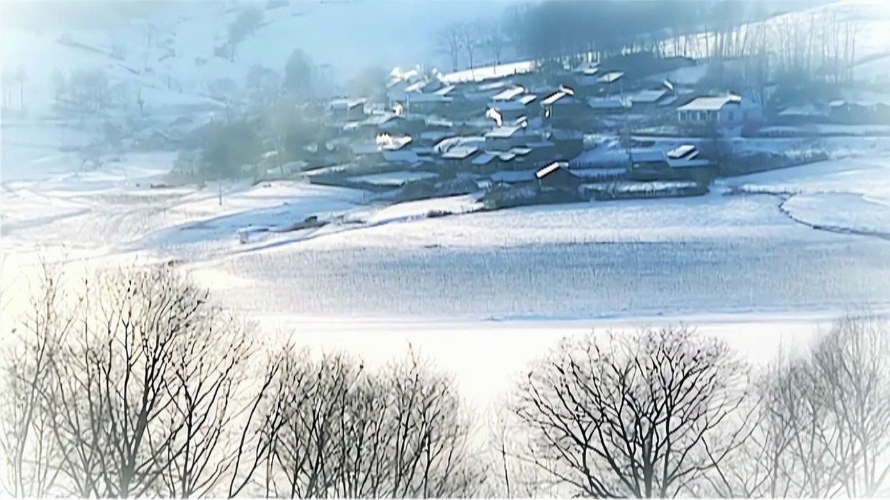 插树岭剧照