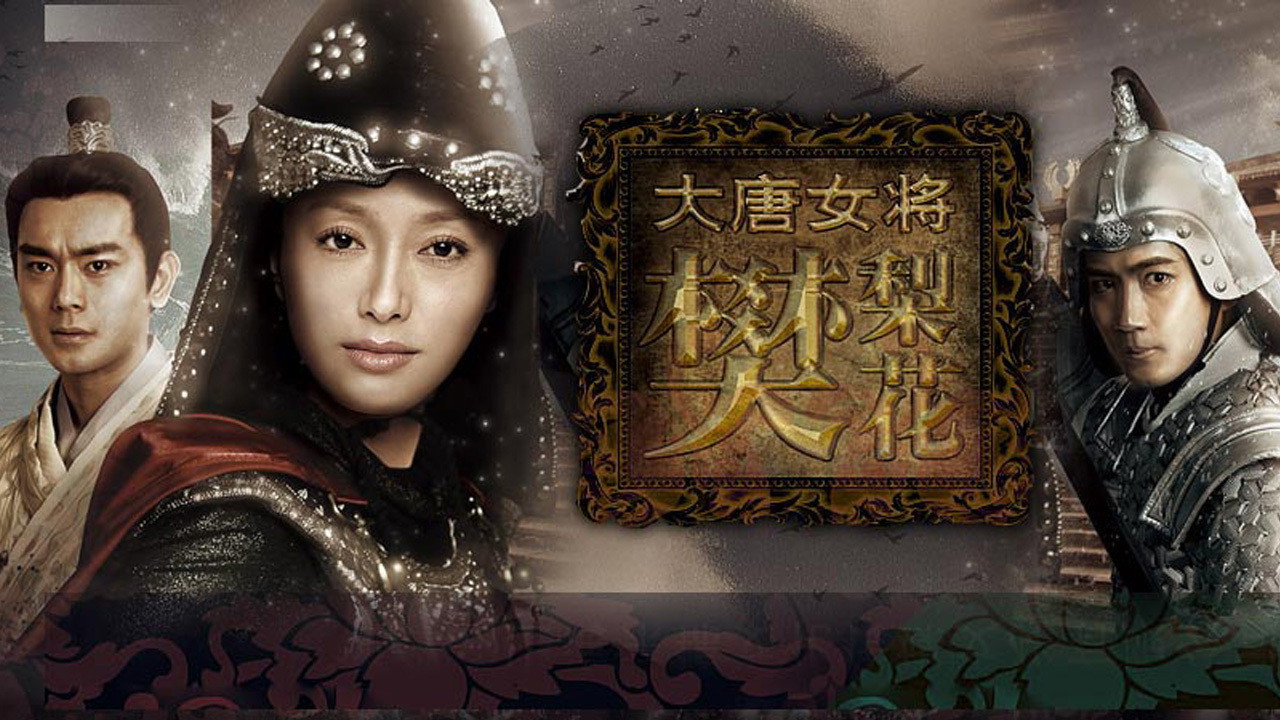 大唐女将樊梨花剧照
