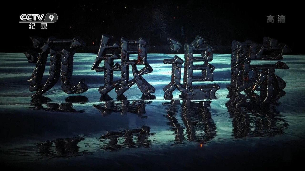 沉银追踪剧照
