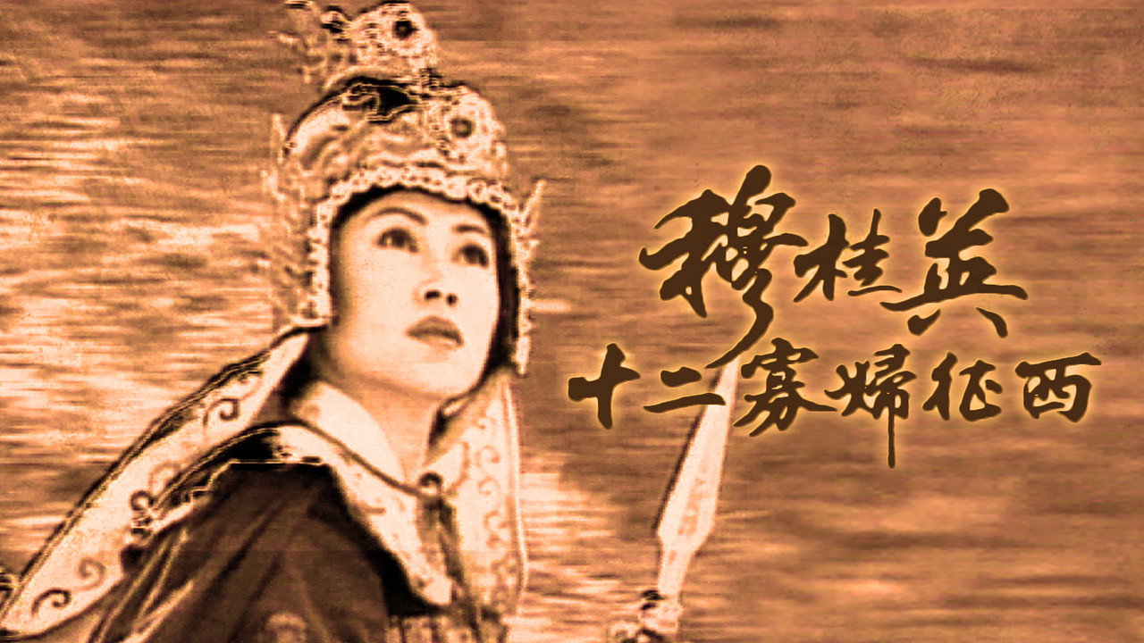 穆桂英之十二寡妇征西剧照