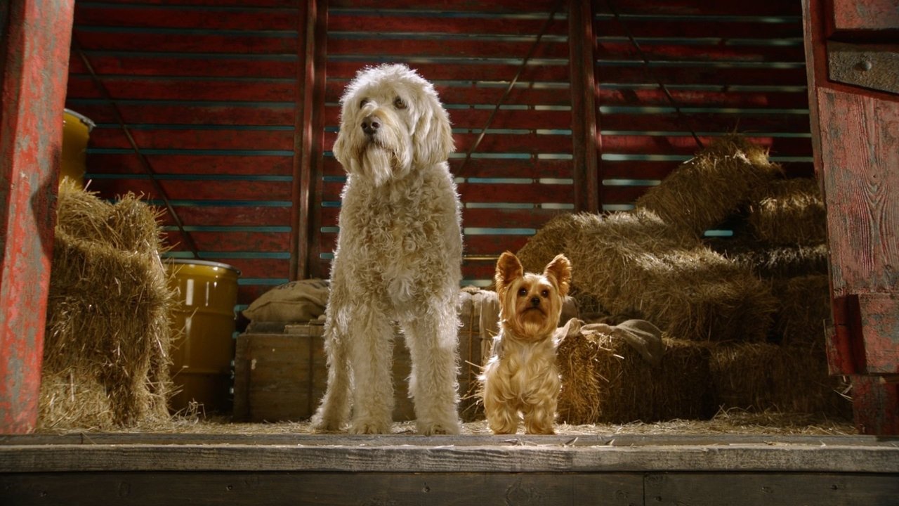 萌犬好声音剧照
