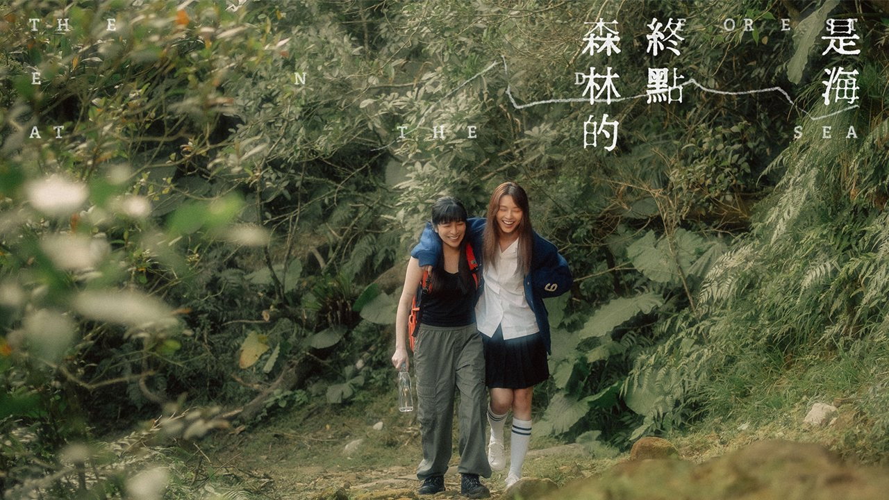 森林的终点是海剧照