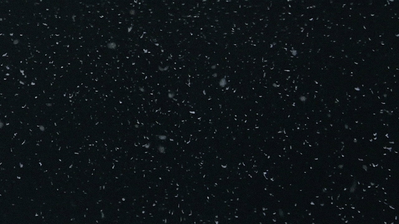生死恋剧照