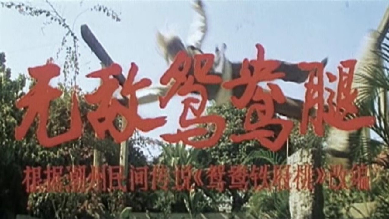 无敌鸳鸯腿剧照
