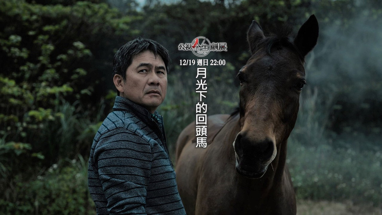 月光下的回头马剧照