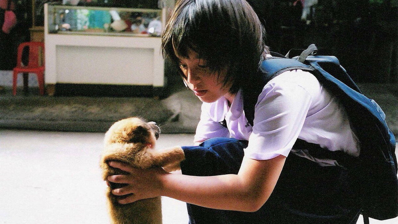 小犬与女孩剧照