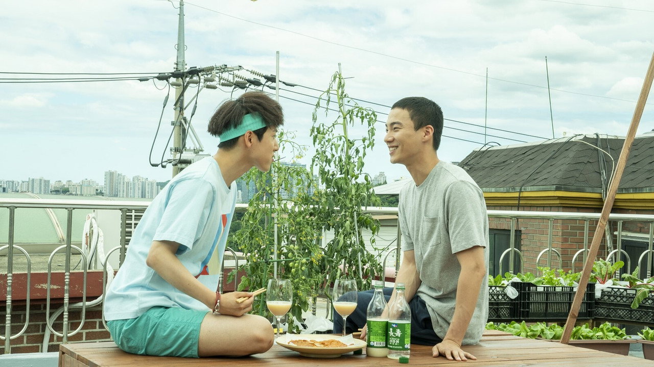 屋顶恋歌剧照