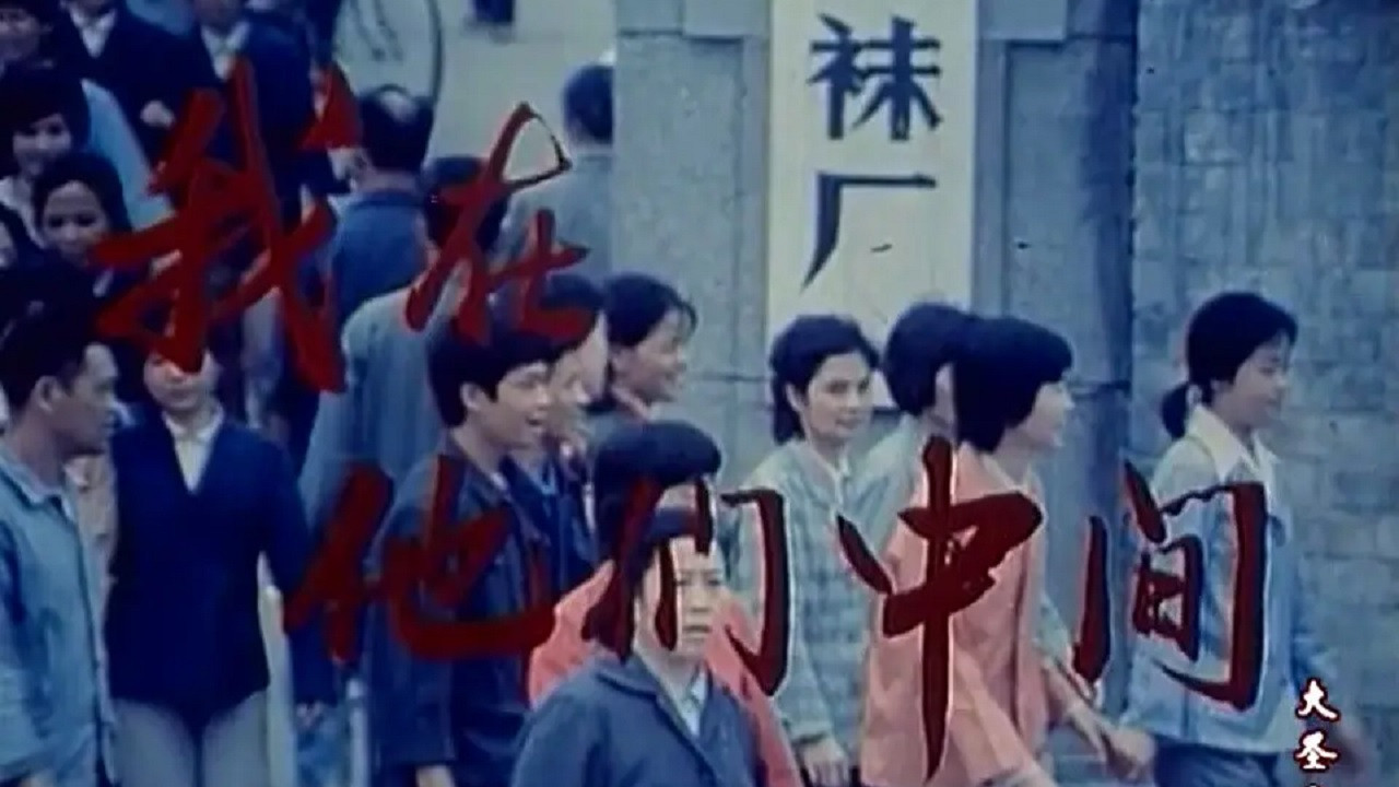 我在他们中间剧照