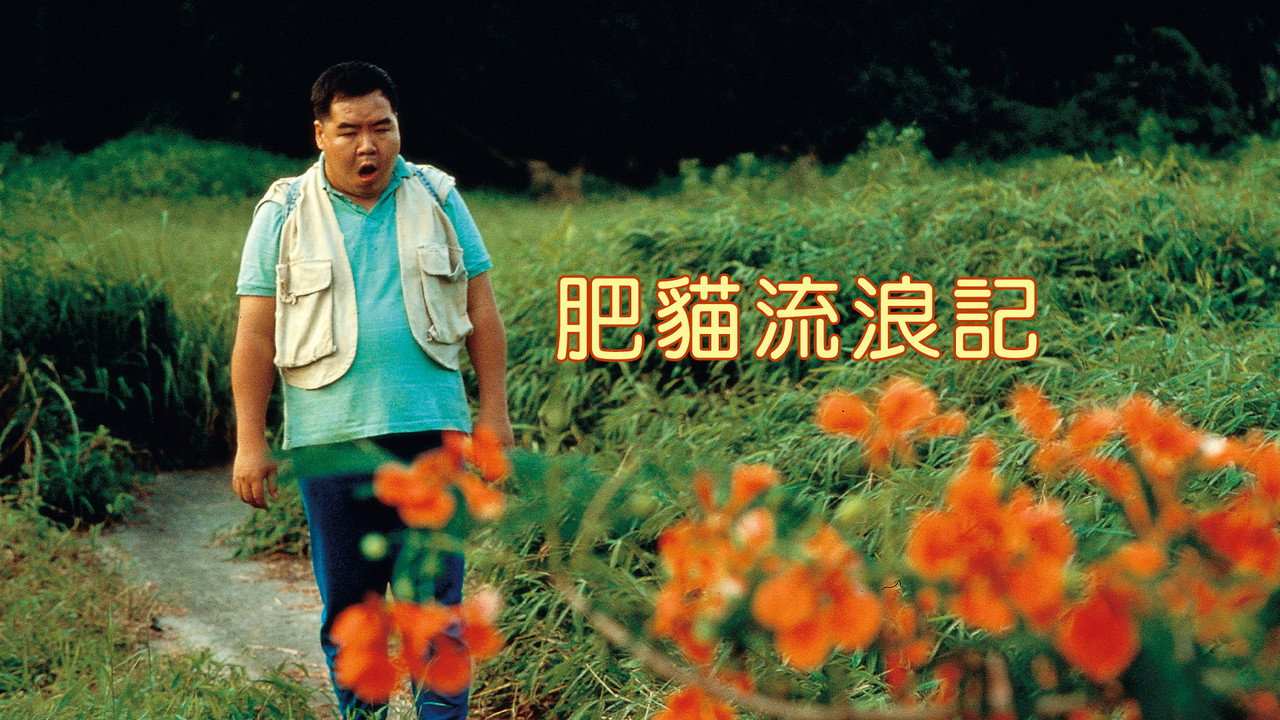 肥猫流浪记剧照