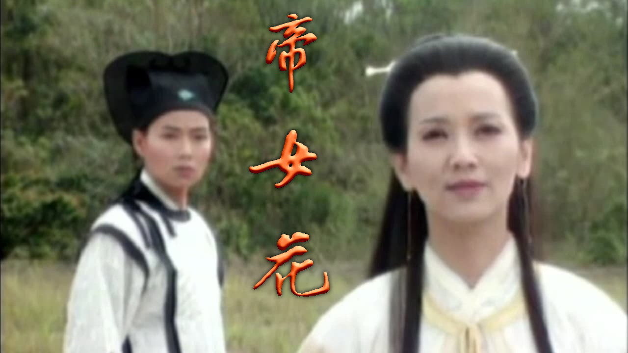 乱世不了情剧照