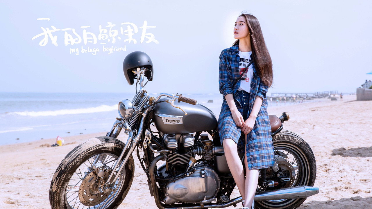 我的白鲸男友剧照