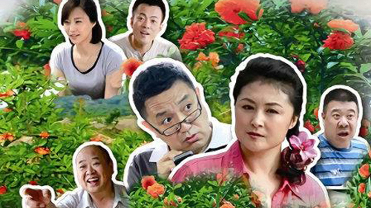 石榴红了剧照