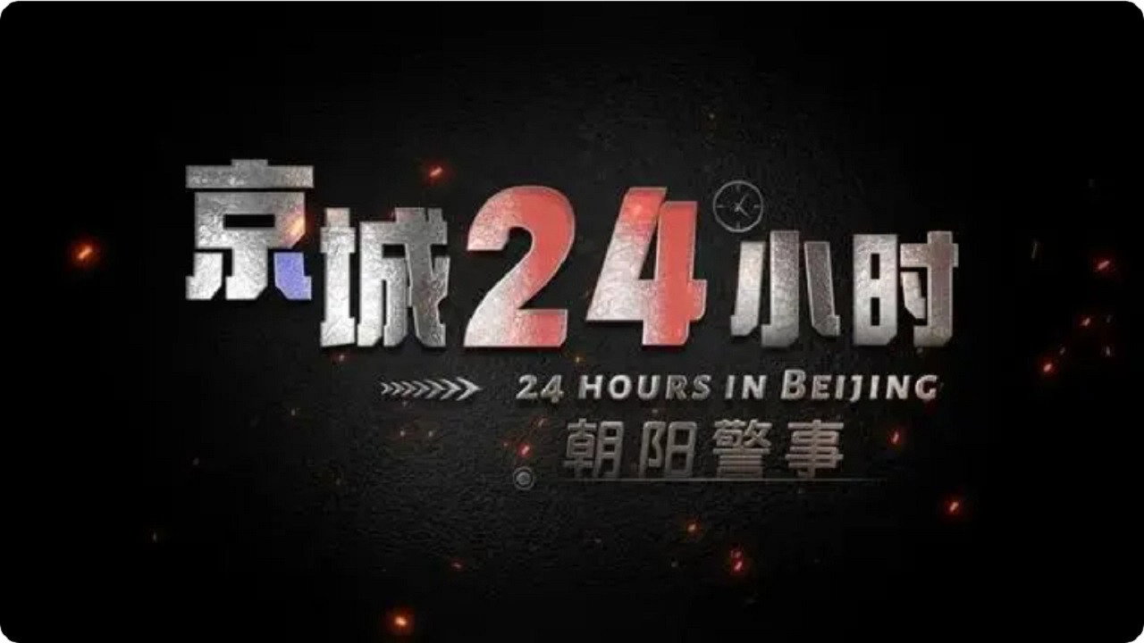 京城24小时之朝阳警事剧照