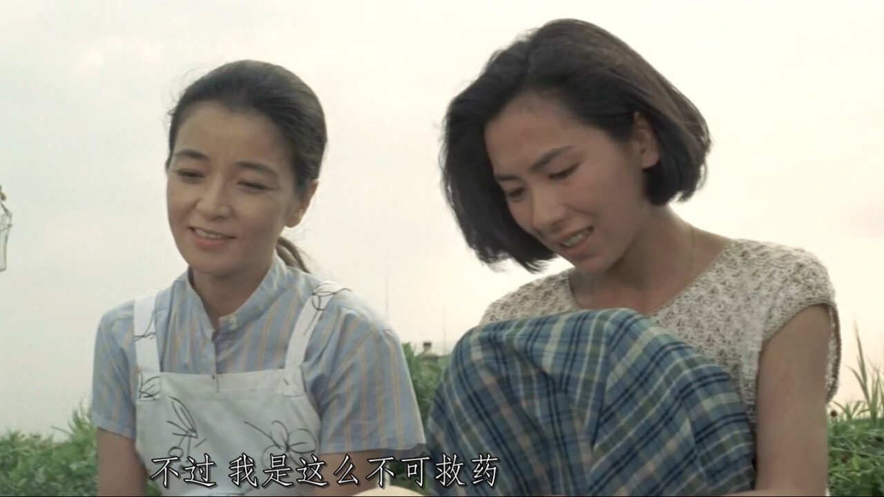 寅次郎的故事33：夜雾中的寅次郎剧照