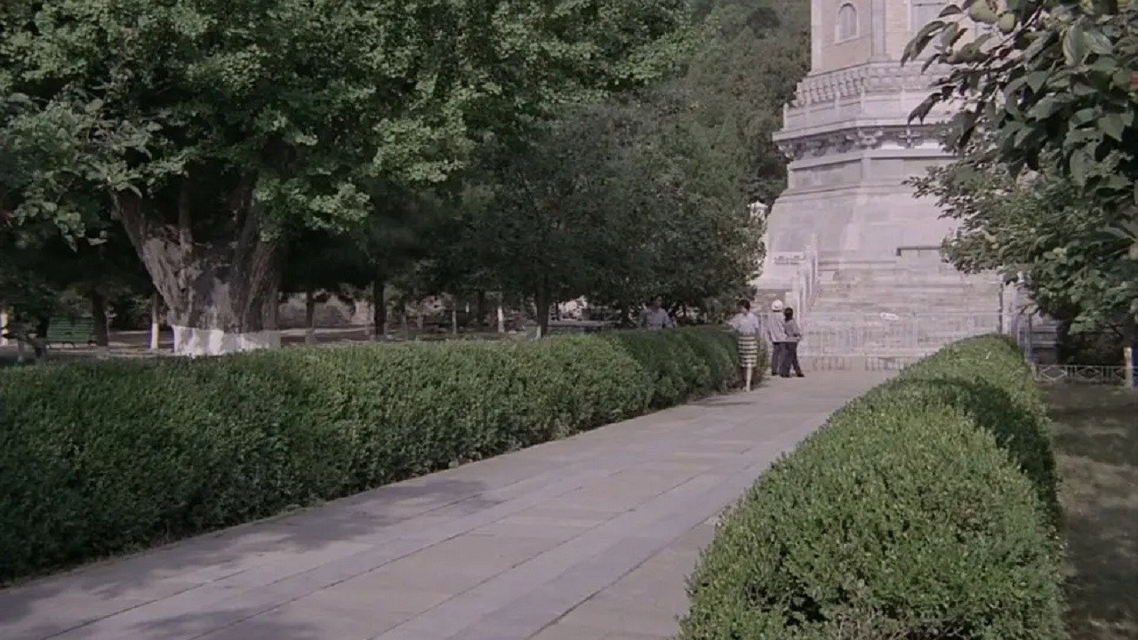 车水马龙剧照