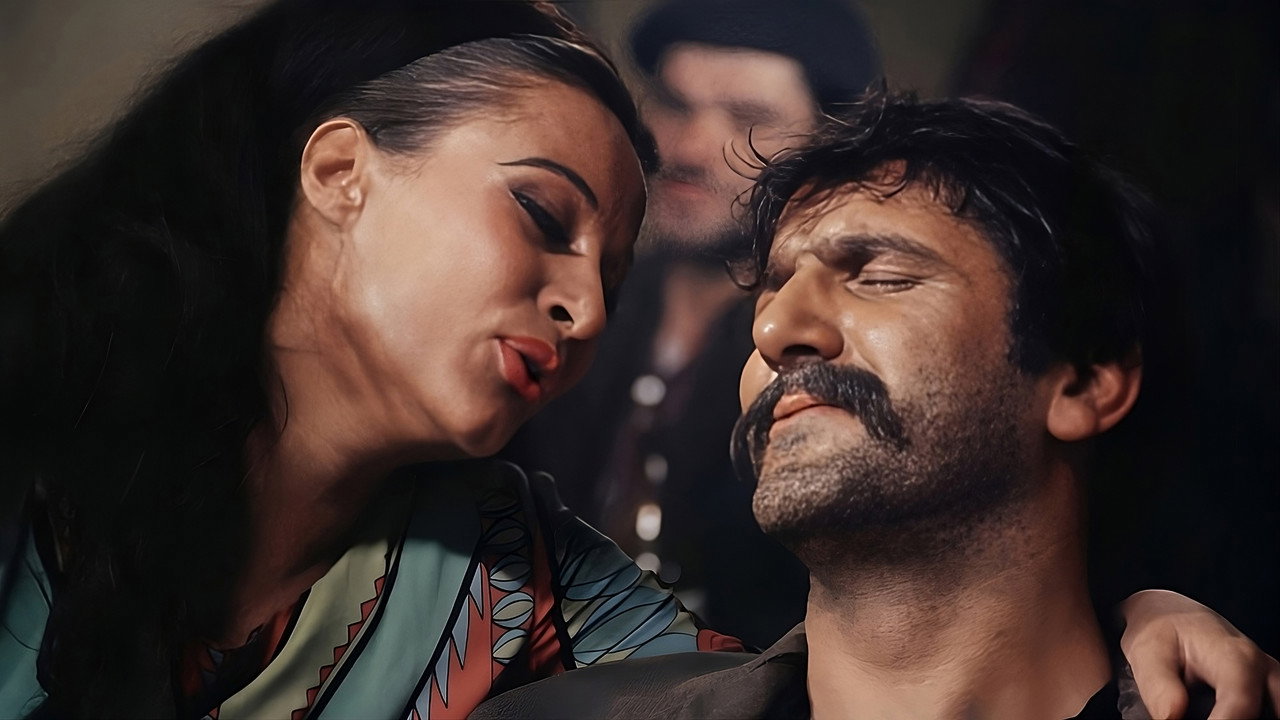 快乐的吉普赛人剧照