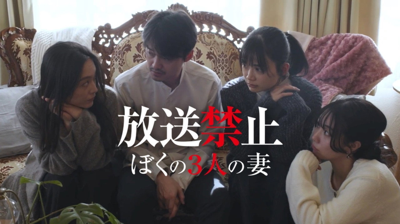 放送禁止 我的三位妻子剧照