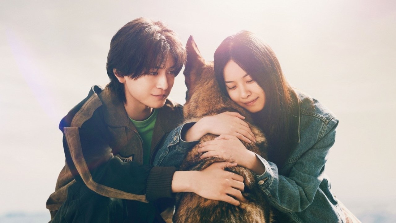 少年与犬剧照
