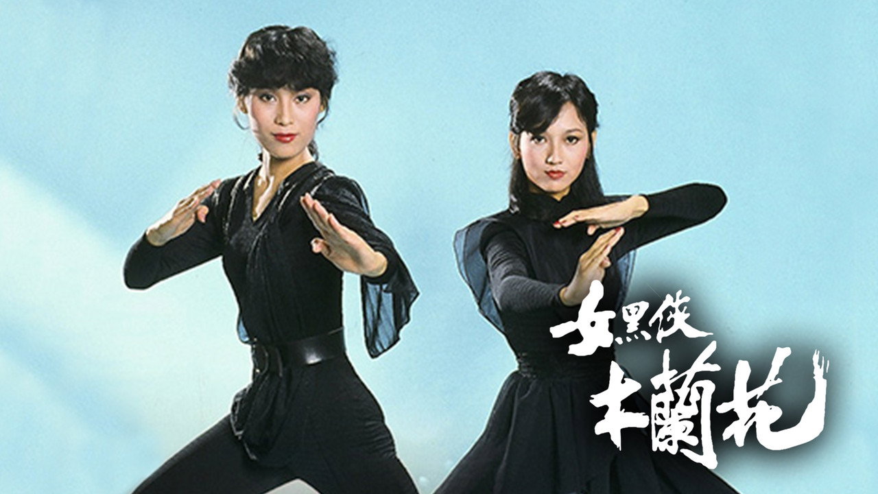女黑侠木兰花剧照