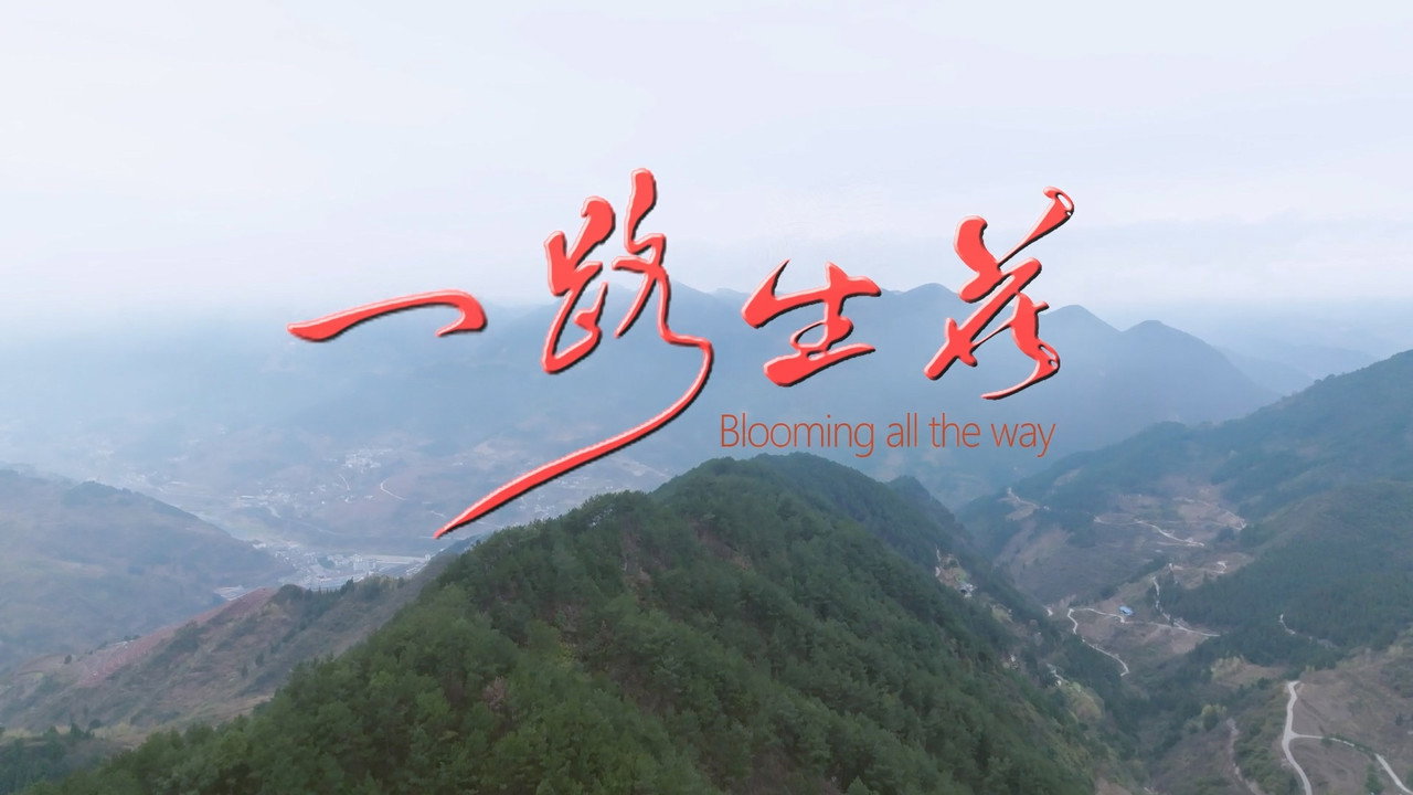 一路生花剧照