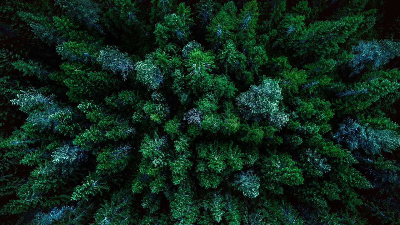 宁静的世界剧照