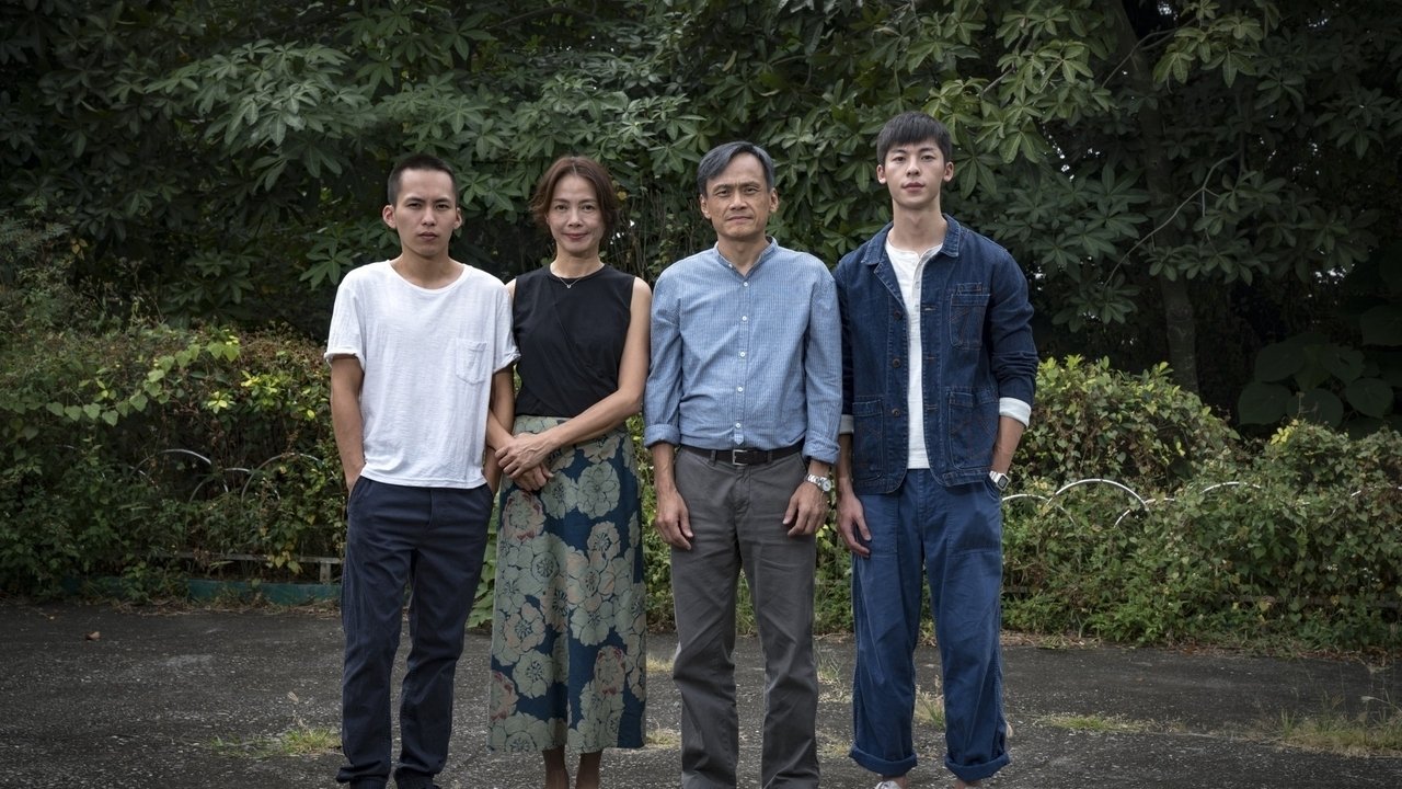 阳光普照剧照