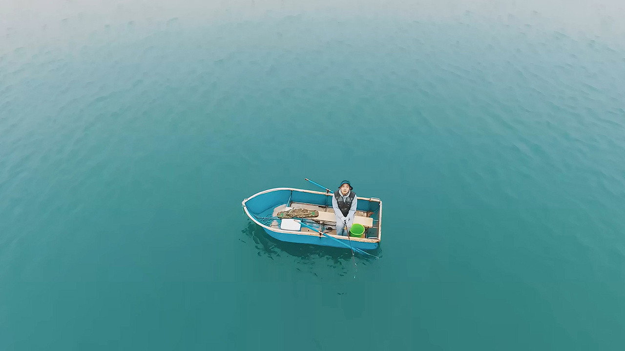 海带剧照