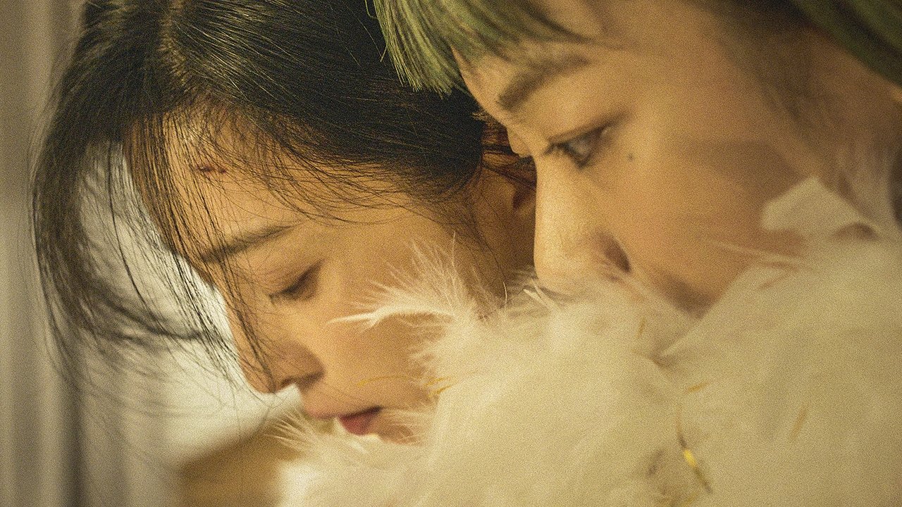 绿夜剧照