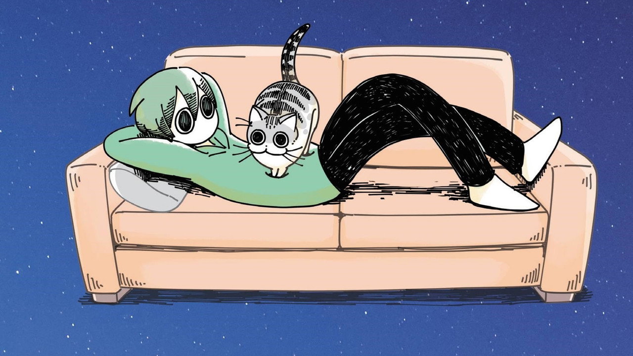 与猫共度的夜晚剧照