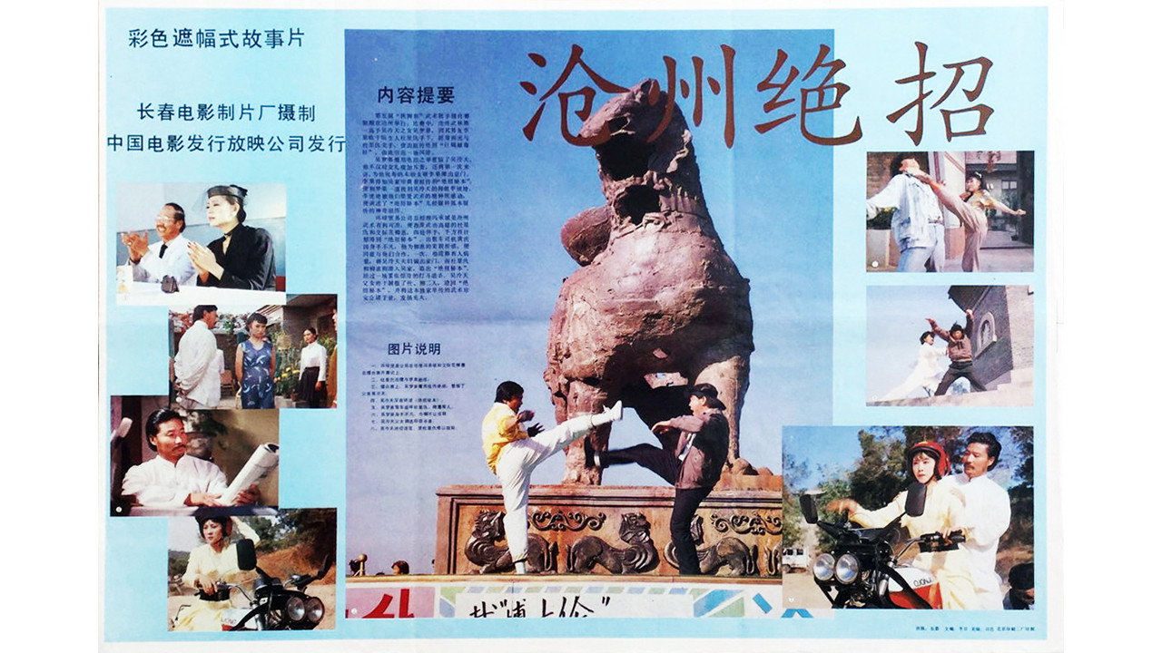 沧州绝招剧照