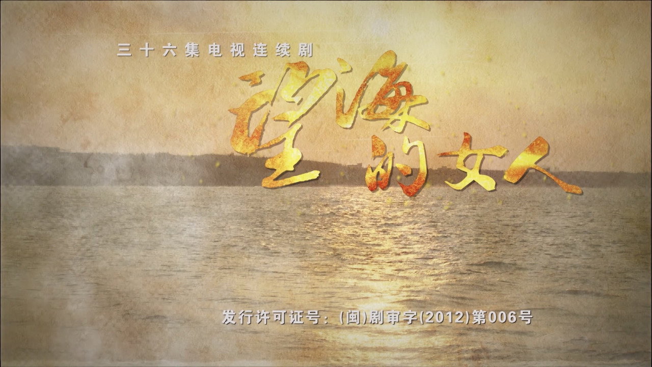 望海的女人剧照