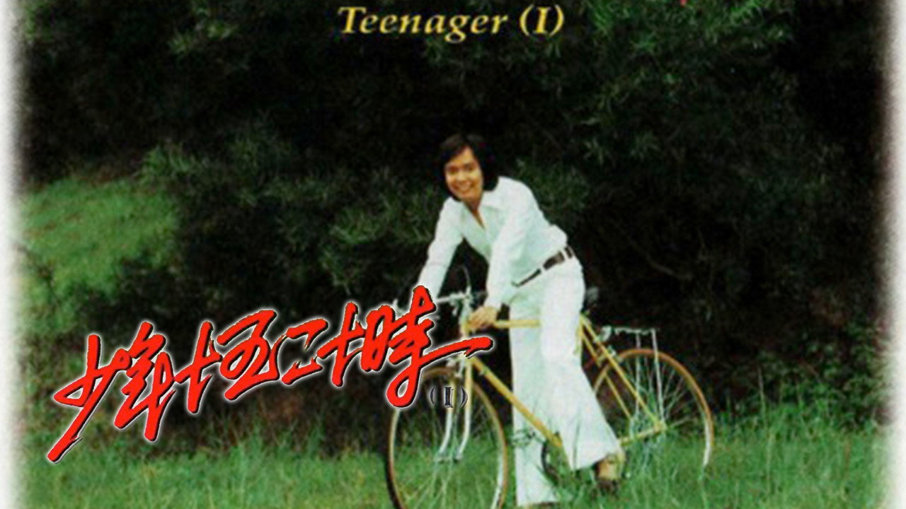 少年十五二十时剧照