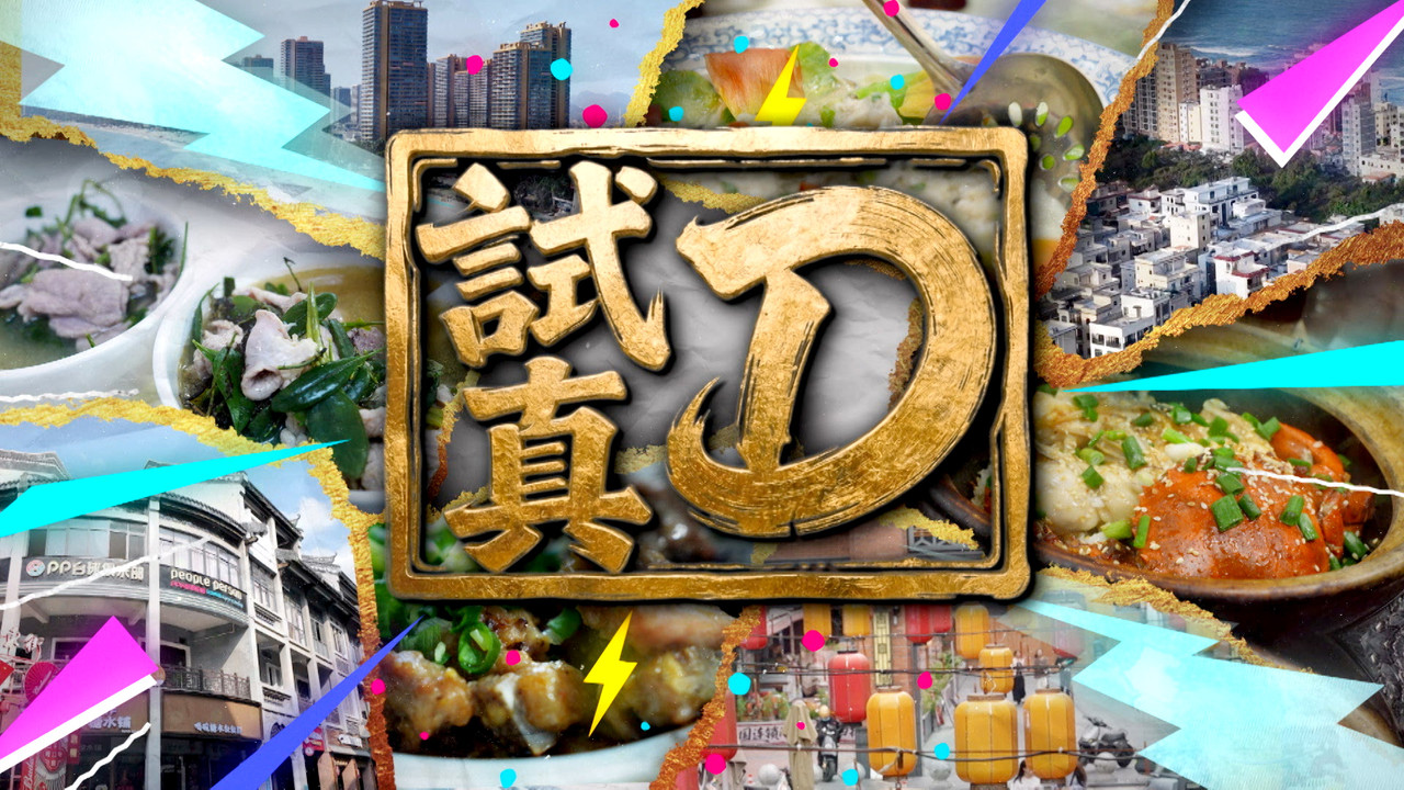试真D剧照