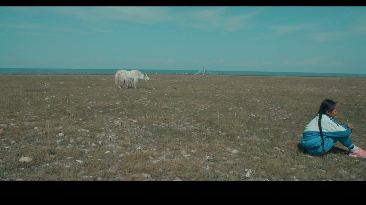 白牦牛剧照